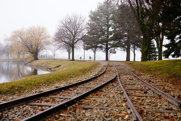 Fototapeta premium railroad tracks in the forest