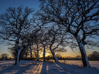 Hawkesley, Birmingham.