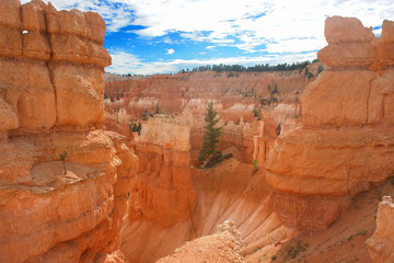 Bryce Canyon National Park located in southwestern Utah.