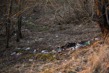 Chaos in the world. Landfills in nature during the pandemic