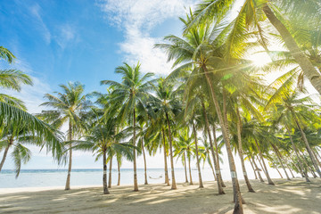 Beautiful tropical beach, hammock and coconut palm trees. Holiday and vacation concept.