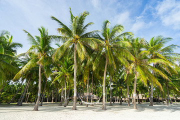 Obraz na płótnie Canvas Beautiful tropical beach, hammock and coconut palm trees. Holiday and vacation concept.