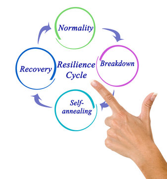 Four Components Of Resilience Cycle.