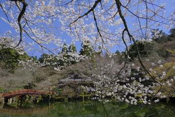京都 洛南の名刹 醍醐寺