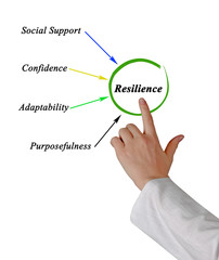 Presenting Four factors giving resilience