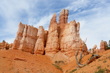 Fototapeta premium Bryce Canyon National Park located in southwestern Utah.