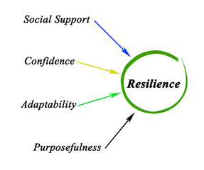 Four factors giving resilience