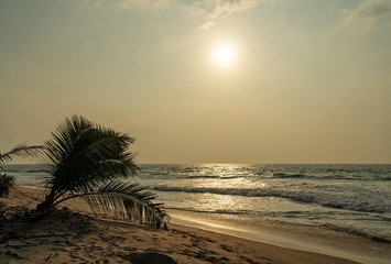 Ocean tropical beach sunset landscape with palm, Sri Lanka