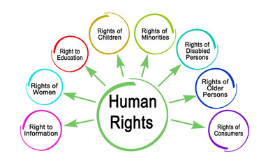 Eight Human Rights