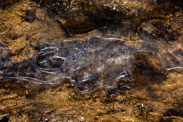 Ice on the ground. Beautiful drawing. Background