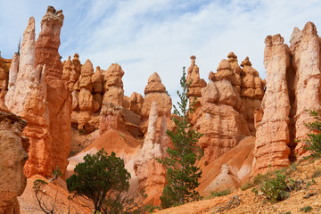 Bryce Canyon National Park located in southwestern Utah.