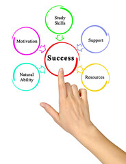 Five drivers of success