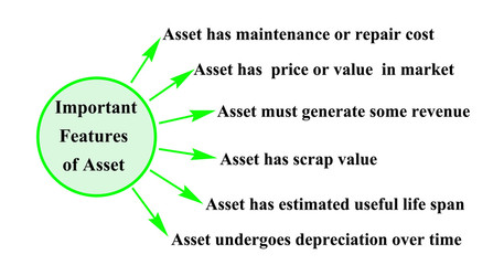  Six Important features of Asset.