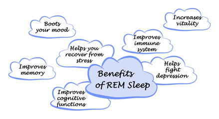 Seven Benefits of REM Sleep.