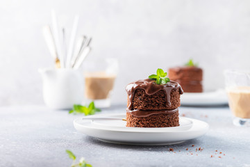 Chocolate mini cake with chocolate ganash and mint