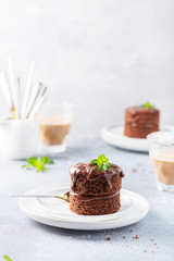 Chocolate mini cake with chocolate ganash and mint