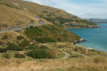 Fototapeta na wymiar Landscape at Taiaroa Head near Dunedin, Otago on South Island of New Zealand 