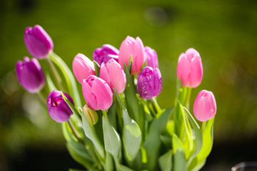 a bouquet of tulips on a garden table