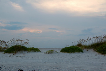 beach sand dunes with sea oats at sunset