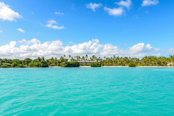 caribbean beach with palms tree