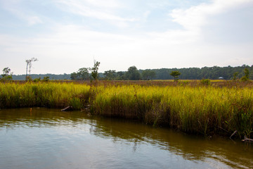 Weeks Bay Fish River wildlife preserve Park marsh meadows and forests around Bay in Alabama
