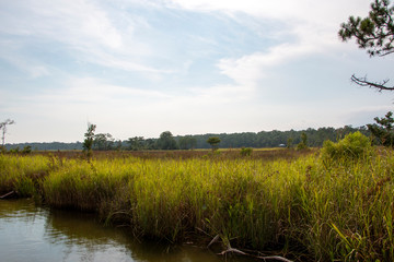 Weeks Bay Fish River wildlife preserve Park marsh meadows and forests around Bay in Alabama