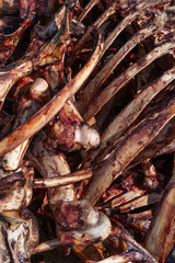 meat farm. bones with meat from animal cows. bones of meat animals.