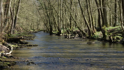 Der Fluß Dhünn im Bergischen Land bei Altenberg