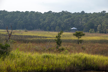 Fototapeta na wymiar Weeks Bay Fish River wildlife preserve Park marsh meadows and forests around Bay in Alabama
