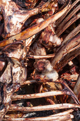 meat farm. bones with meat from animal cows. bones of meat animals.
