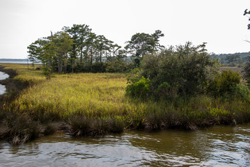 Weeks Bay Fish River wildlife preserve Park marsh meadows and forests around Bay in Alabama
