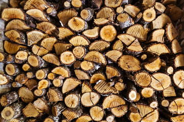 textura de pila de leña cortada