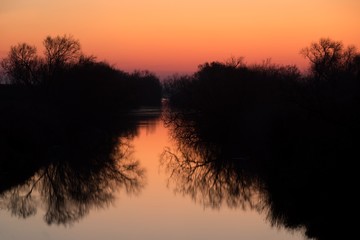 Beautiful sunrise in the Camargue national park. Rhone Delta, Provence, France, mirror reflection on water, trees reflecting on water, orange color, land of flamingos and wild horses