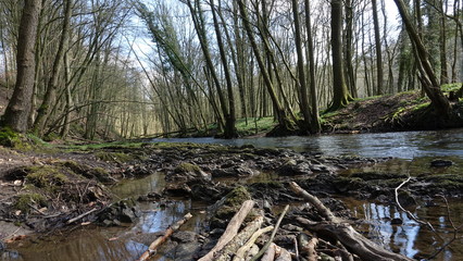 Der Flu&szlig; Dh&uuml;nn im Bergischen Land bei Altenberg