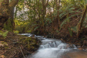 Beautiful natural water falls inside the forest