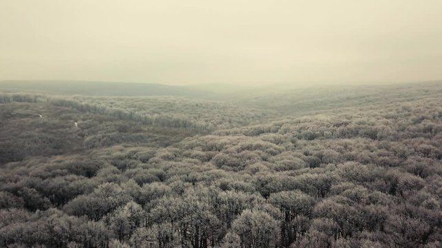 4k drone shots above freshly frozen forest. Grey tones combined with cinematic movements show the crispness of a winter morning. Shot with the DJI MavicPro.