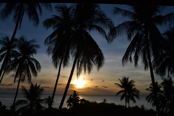 Naklejka premium sunset on the beach