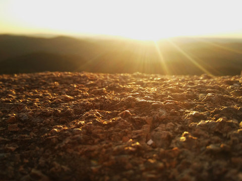Sunset on the top of the Second Stolb rock, the Stolby nature reserve