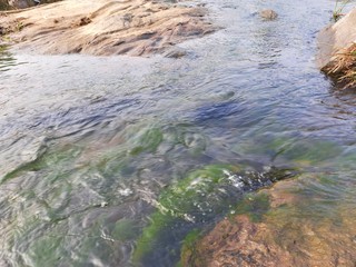 River water flowing through stones and rocks at dawn.Mountain river flows through green forest.Tropical river in the rain forest in Asia.Wild river flowing through the mountain.