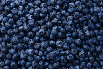 Fresh blueberry background. Texture blueberry berries close up.