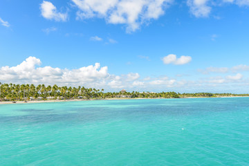 caribbean beach with palms tree