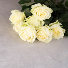 large white roses  on  old gray stone or concrete background. wedding holiday celebration concept