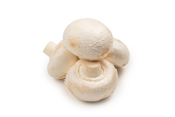 Champignon mushroom isolated on white background.