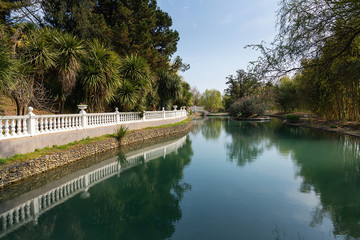 Fototapeta premium Russia city of Sochi Adler district park Southern cultures. Pond with reflection of trees..