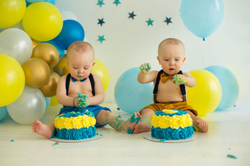 twin Smash cake for two boy