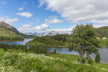 Summer travel in beautiful Norway. Travel weekend, vacation. Scandinavian countries, selective focus