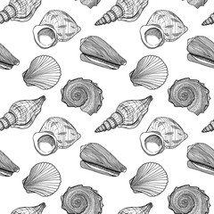 Black and white seamless pattern with seashells. Hand drawn outline vector illustration of underwater shells. Nautical background. Marine elements on white for cards, decoration, textile, print.