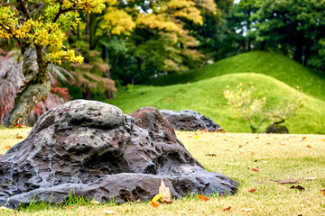 Stones in Japanese style garden during autumn