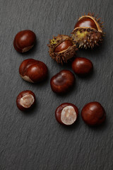 Fresh chestnuts and a chestnut hedgehog on dark gray slate background. Pile of fresh chestnuts ready to roast shot over black antique background. 
