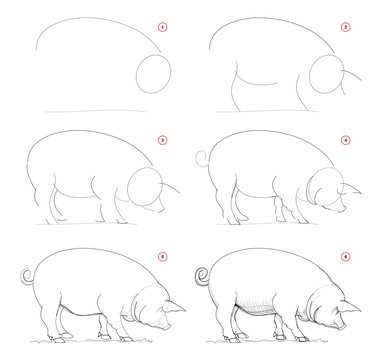 How to draw sketch of imaginary domestic pig. Creation step by step pencil drawing. Education for artists. Textbook for developing artistic skills. Hand-drawn vector on computer by graphic tablet.